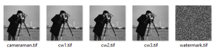 Watermarked Images