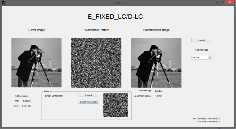 Watermark Detector